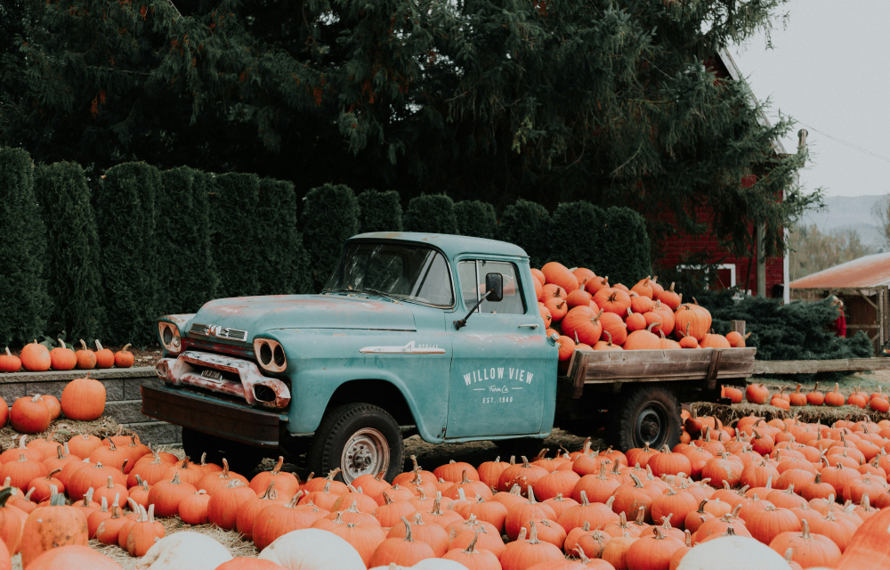 A photograph of a teal truck loaded and surrounded by orange pumpkins.