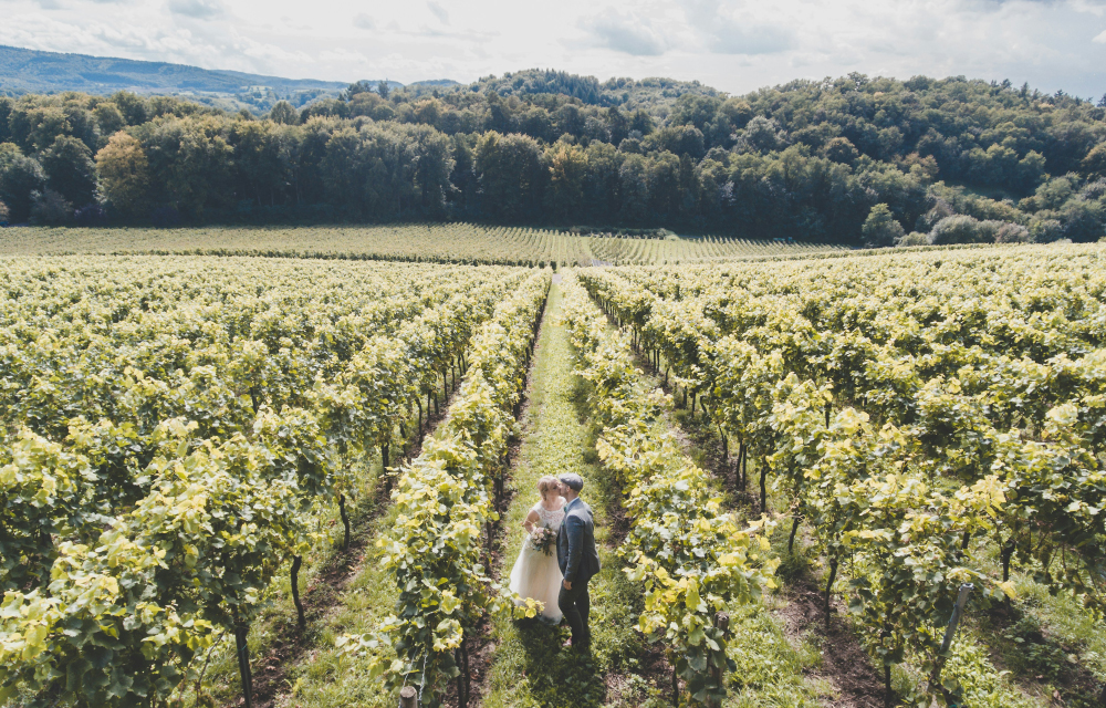 A newly wed couple kissing, surrounded by rows of grapevines and a clear blue sky.