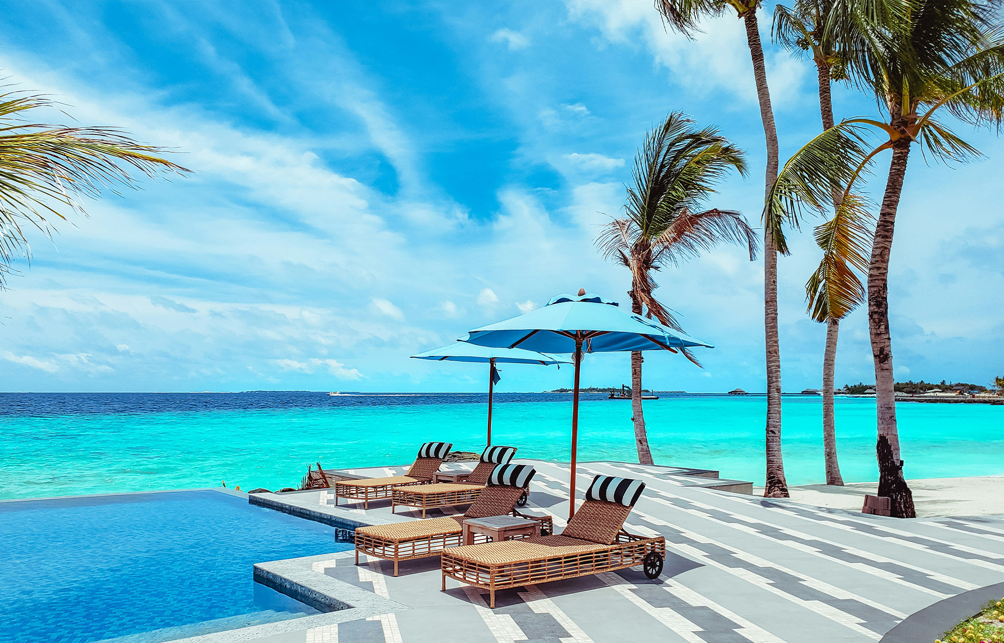 From Daydream to Decision: Paid Search vs. Paid Social for Hospitality Brands